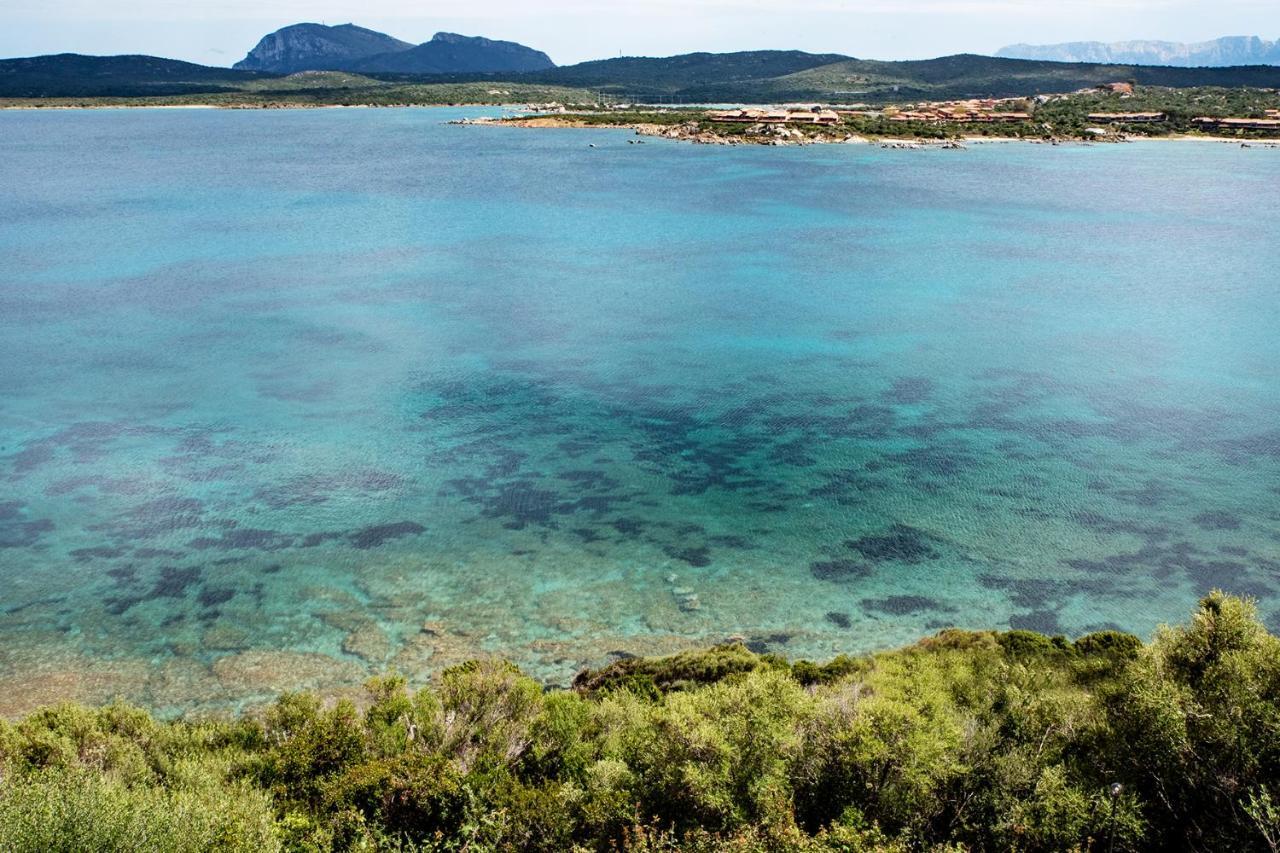 Апартаменты Casa Valery Wonderful Sea View Порто-Ротондо Экстерьер фото